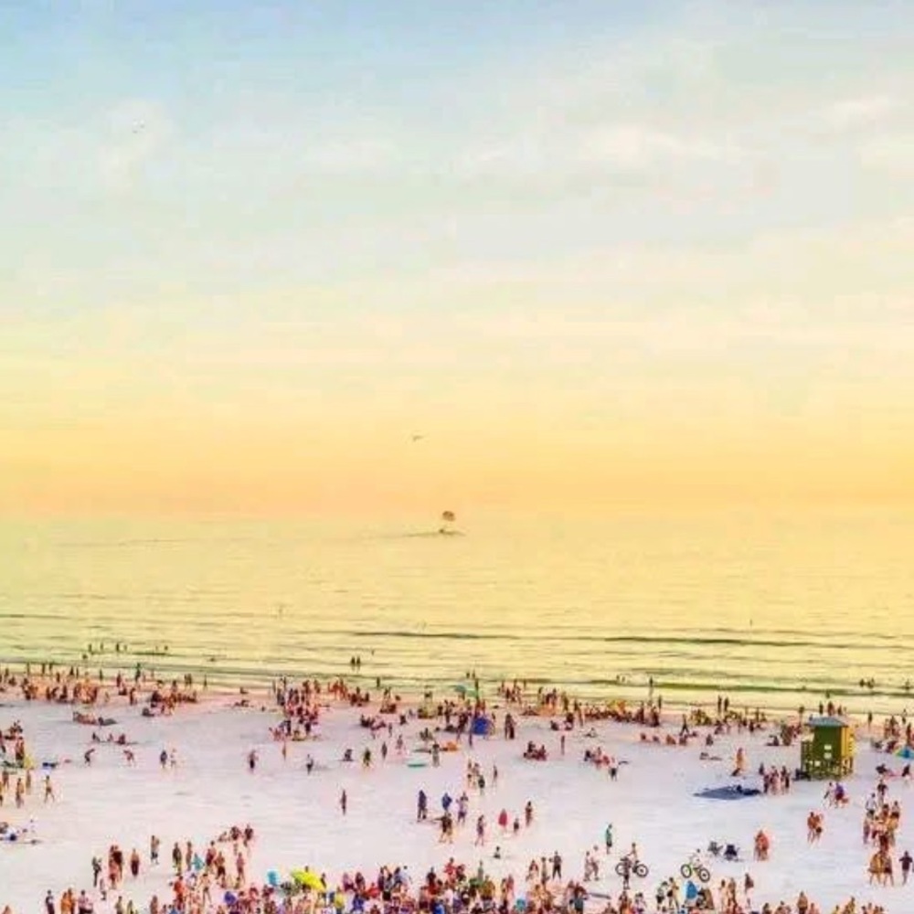 Meet your Posher, Shelly